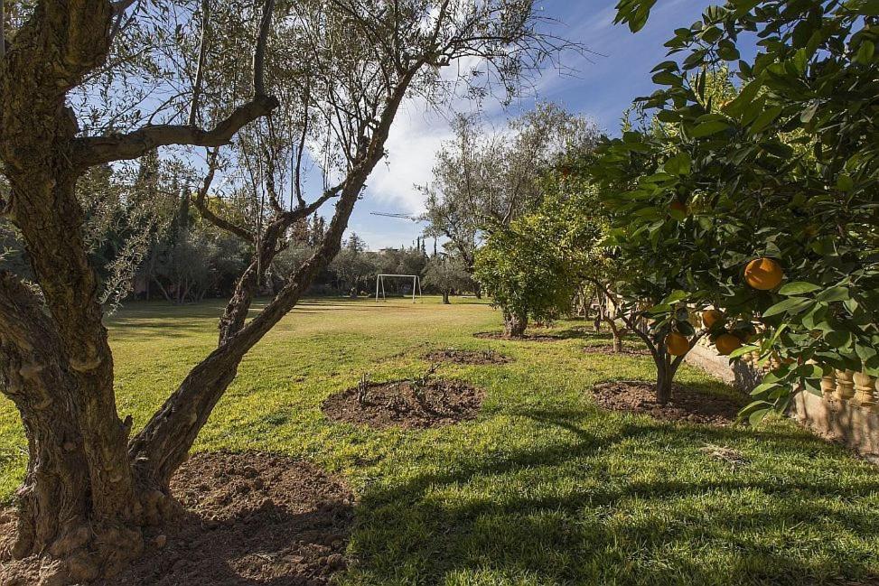 Villa Zahra Palmeraie Marrakesh Exteriör bild